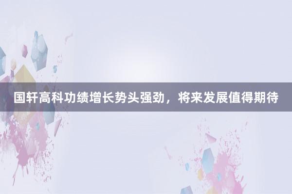 国轩高科功绩增长势头强劲，将来发展值得期待